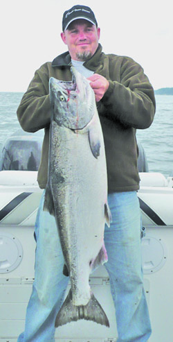 Kiwi Magic Chinook Salmon