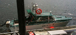 VIPfishing Charter boat