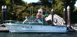 VIPfishing Charter boat