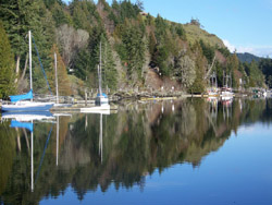 Calm Seas in East Sooke